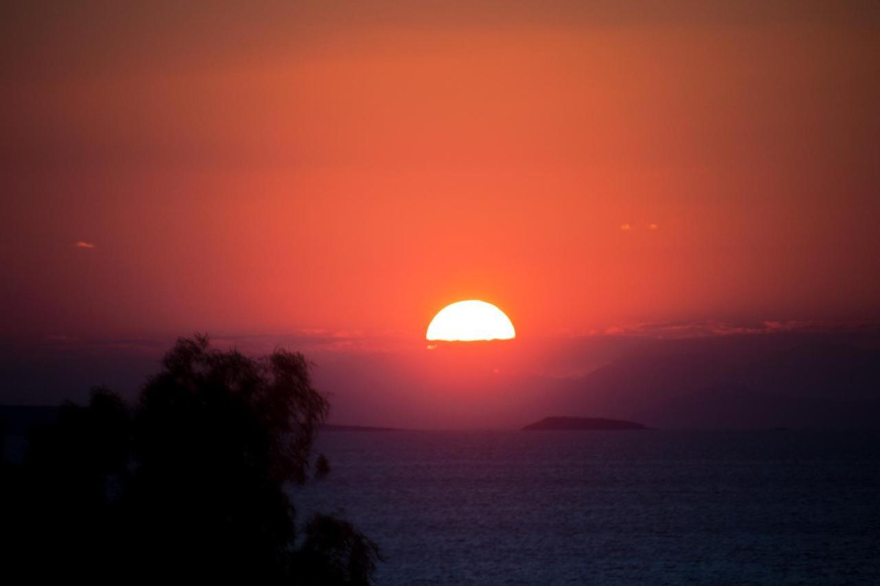 Luxury Seaview Apartment By The Sea Saronida エクステリア 写真